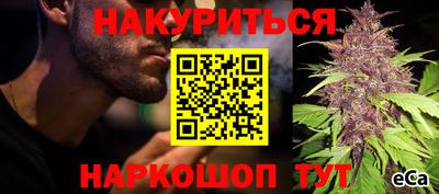 спиды Тара